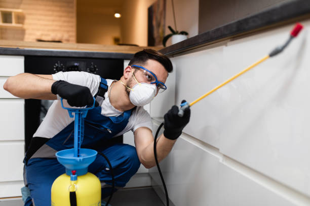 Best Affordable Pest Control Services  in Gainesboro, TN