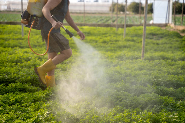 Best Pest Inspection Near Me  in Gainesboro, TN