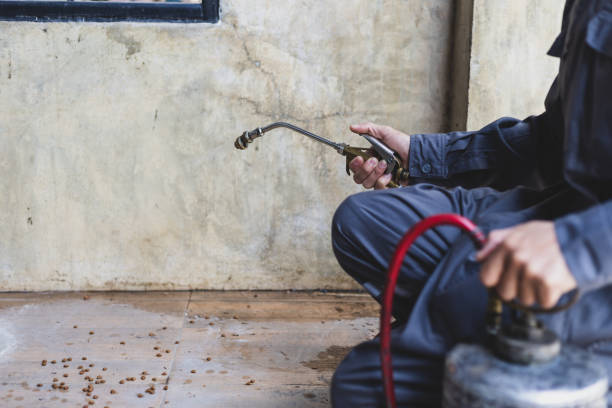 Best Termite Control Services  in Gainesboro, TN