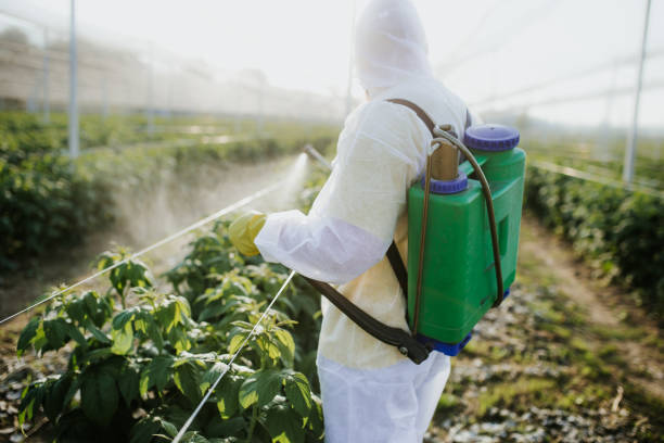 Best Pest Prevention Services  in Gainesboro, TN